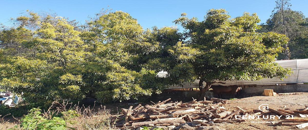 Foto de terreno habitacional en cerro gordo , loma bonita, valle de bravo, méxico, 0 foto 05 Foto de terreno habitacional en venta en cerro gordo , loma bonita, valle de bravo, méxico, 0 No. 05