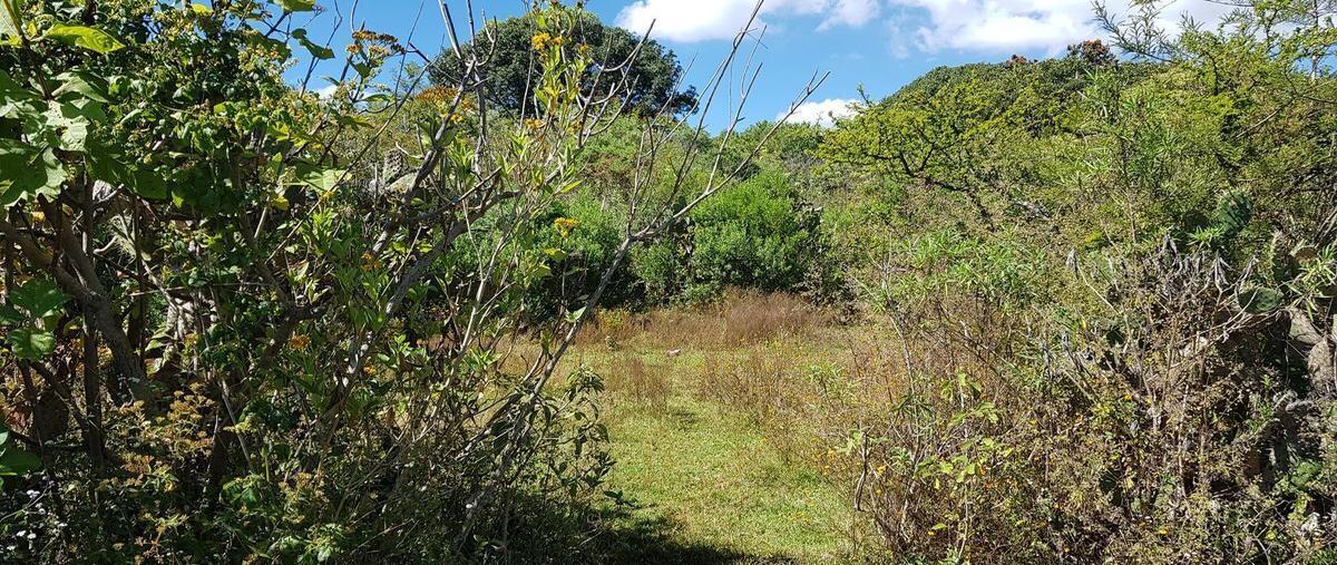 Foto de terreno habitacional en venta en  , cerro gordo, san ignacio cerro gordo, jalisco, 23544791 No. 05