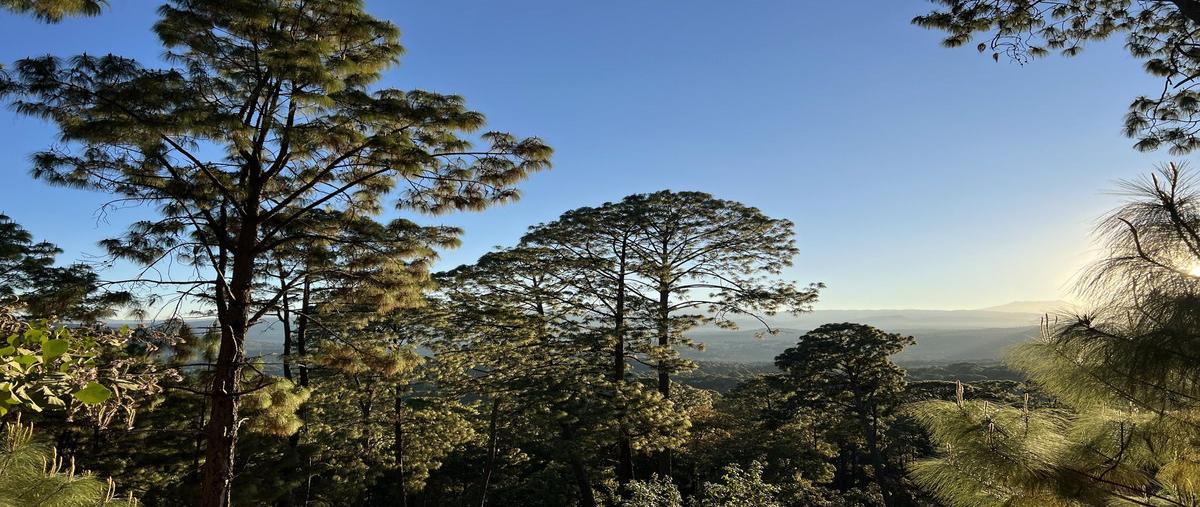 Foto de terreno habitacional en cerro gordo sin nombre , cerro gordo, valle de bravo, méxico, 27321968 foto 01 Foto de terreno habitacional en venta en cerro gordo sin nombre , cerro gordo, valle de bravo, méxico, 27321968 No. 01
