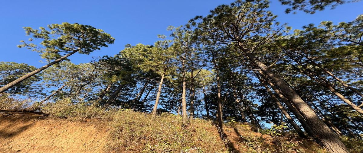Foto de terreno habitacional en cerro gordo sin nombre , cerro gordo, valle de bravo, méxico, 27321968 foto 02 Foto de terreno habitacional en venta en cerro gordo sin nombre , cerro gordo, valle de bravo, méxico, 27321968 No. 02