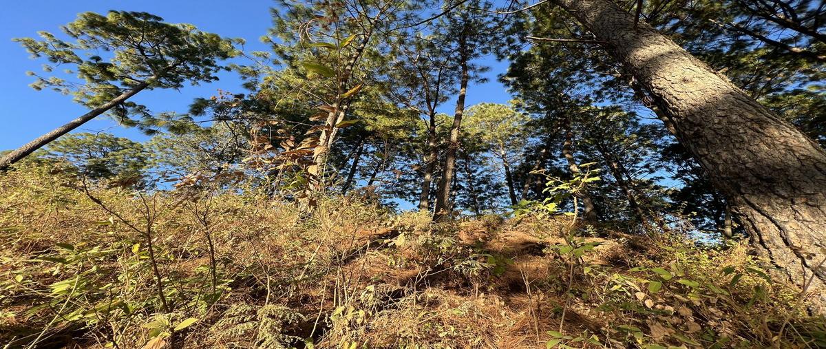 Foto de terreno habitacional en cerro gordo sin nombre , cerro gordo, valle de bravo, méxico, 27321968 foto 04 Foto de terreno habitacional en venta en cerro gordo sin nombre , cerro gordo, valle de bravo, méxico, 27321968 No. 04