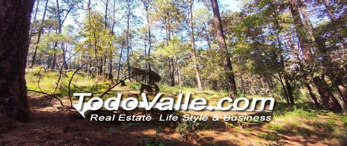 Foto de terreno habitacional en cerro gordo, valle de bravo, estado de méxico, 51200 , loma bonita, valle de bravo, méxico, 0 foto 01 Foto de terreno habitacional en venta en cerro gordo, valle de bravo, estado de méxico, 51200 , loma bonita, valle de bravo, méxico, 0 No. 01