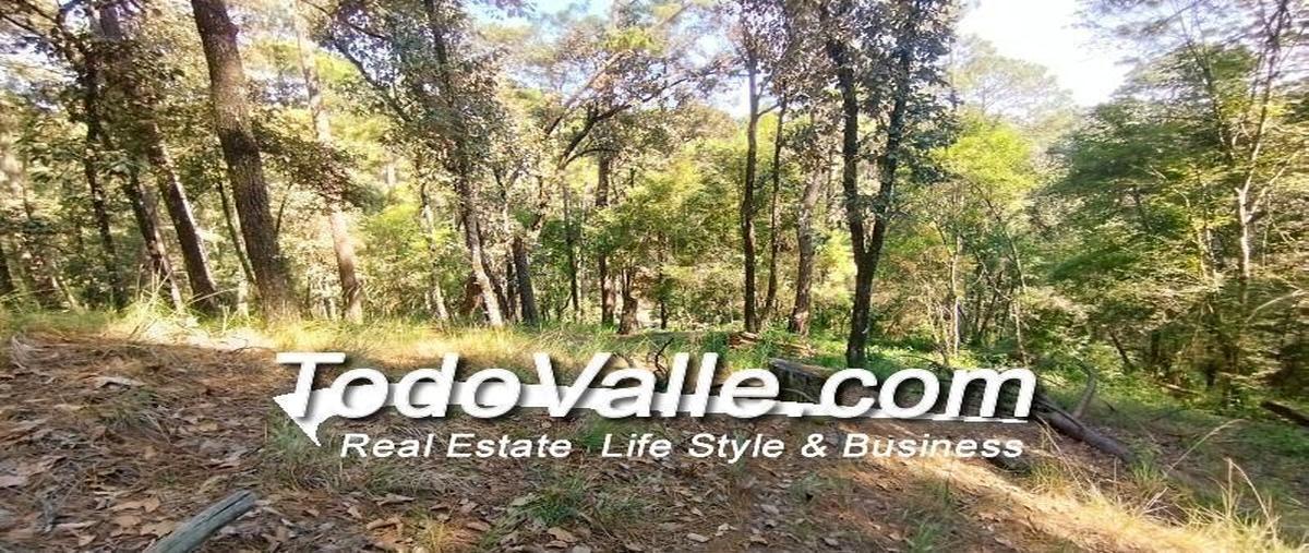 Foto de terreno habitacional en cerro gordo, valle de bravo, estado de méxico, 51200 , loma bonita, valle de bravo, méxico, 0 foto 02 Foto de terreno habitacional en venta en cerro gordo, valle de bravo, estado de méxico, 51200 , loma bonita, valle de bravo, méxico, 0 No. 02