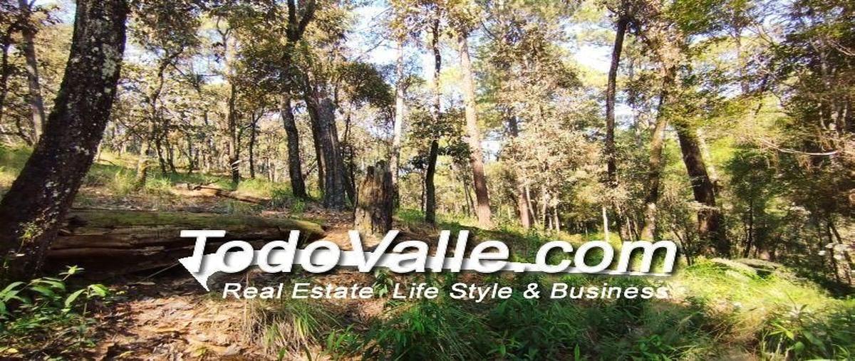 Foto de terreno habitacional en cerro gordo, valle de bravo, estado de méxico, 51200 , loma bonita, valle de bravo, méxico, 0 foto 03 Foto de terreno habitacional en venta en cerro gordo, valle de bravo, estado de méxico, 51200 , loma bonita, valle de bravo, méxico, 0 No. 03