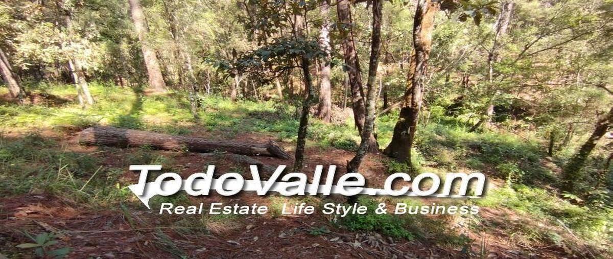 Foto de terreno habitacional en cerro gordo, valle de bravo, estado de méxico, 51200 , loma bonita, valle de bravo, méxico, 0 foto 04 Foto de terreno habitacional en venta en cerro gordo, valle de bravo, estado de méxico, 51200 , loma bonita, valle de bravo, méxico, 0 No. 04