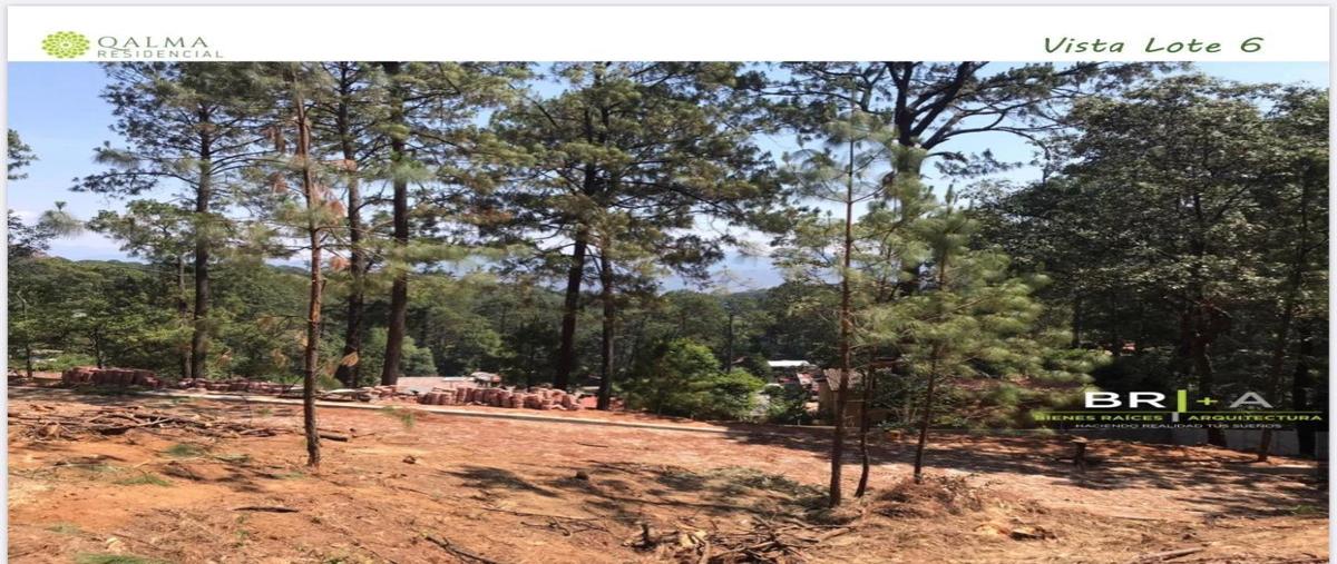 Foto de terreno habitacional en venta en  , cerro gordo, valle de bravo, méxico, 16744928 No. 04