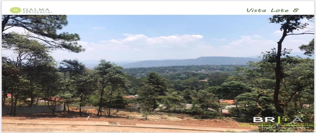 Foto de terreno habitacional en venta en  , cerro gordo, valle de bravo, méxico, 16744928 No. 05