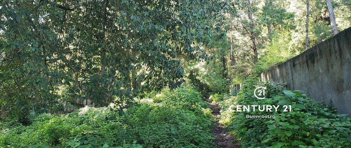 Foto de terreno habitacional en venta en  , cerro gordo, valle de bravo, méxico, 22394754 No. 05