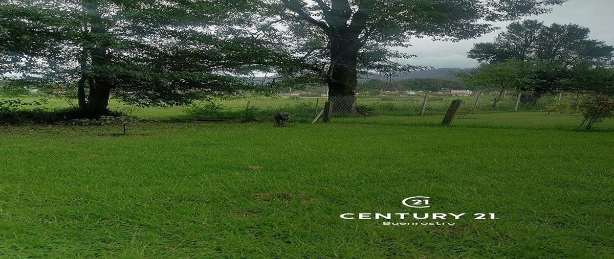 Foto de terreno habitacional en , cerro gordo, valle de bravo, méxico, 25304532 foto 02 Foto de terreno habitacional en venta en , cerro gordo, valle de bravo, méxico, 25304532 No. 02