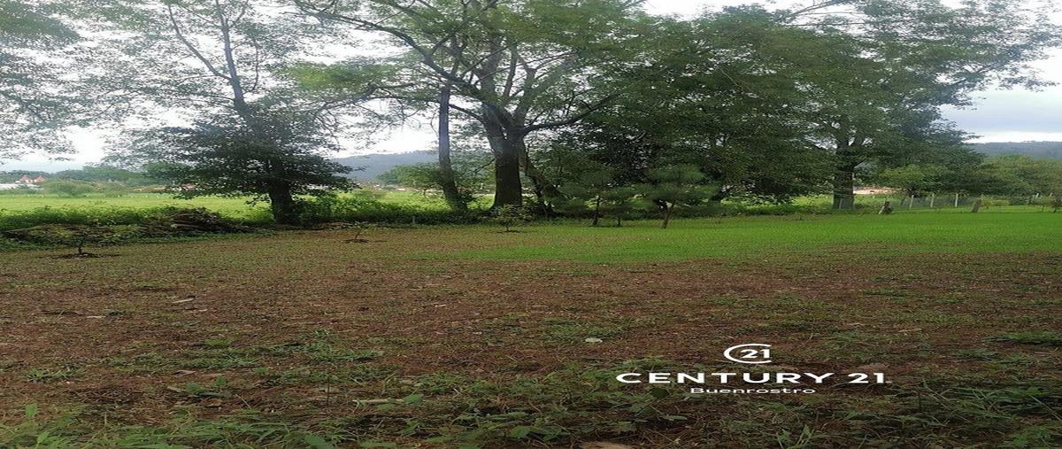 Foto de terreno habitacional en , cerro gordo, valle de bravo, méxico, 25304532 foto 03 Foto de terreno habitacional en venta en , cerro gordo, valle de bravo, méxico, 25304532 No. 03