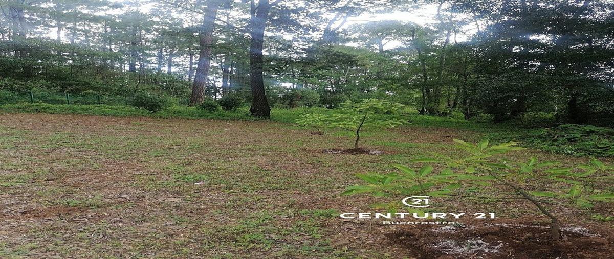 Foto de terreno habitacional en , cerro gordo, valle de bravo, méxico, 25304532 foto 05 Foto de terreno habitacional en venta en , cerro gordo, valle de bravo, méxico, 25304532 No. 05