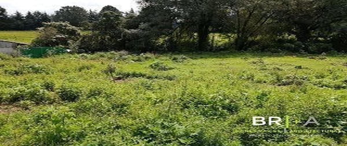 Foto de terreno habitacional en , cerro gordo, valle de bravo, méxico, 25451971 foto 01 Foto de terreno habitacional en venta en , cerro gordo, valle de bravo, méxico, 25451971 No. 01