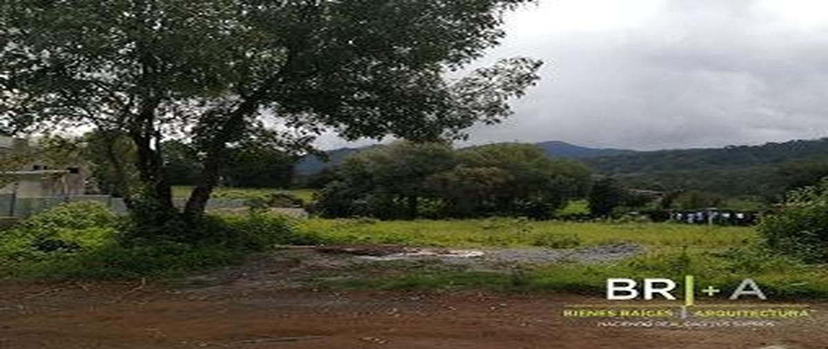Foto de terreno habitacional en , cerro gordo, valle de bravo, méxico, 25451971 foto 02 Foto de terreno habitacional en venta en , cerro gordo, valle de bravo, méxico, 25451971 No. 02