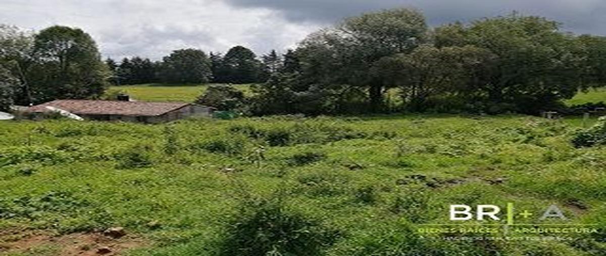 Foto de terreno habitacional en , cerro gordo, valle de bravo, méxico, 25451971 foto 04 Foto de terreno habitacional en venta en , cerro gordo, valle de bravo, méxico, 25451971 No. 04