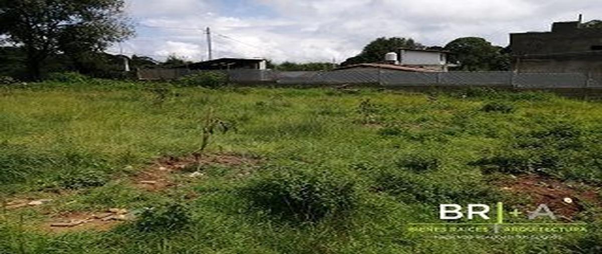 Foto de terreno habitacional en , cerro gordo, valle de bravo, méxico, 25451971 foto 05 Foto de terreno habitacional en venta en , cerro gordo, valle de bravo, méxico, 25451971 No. 05