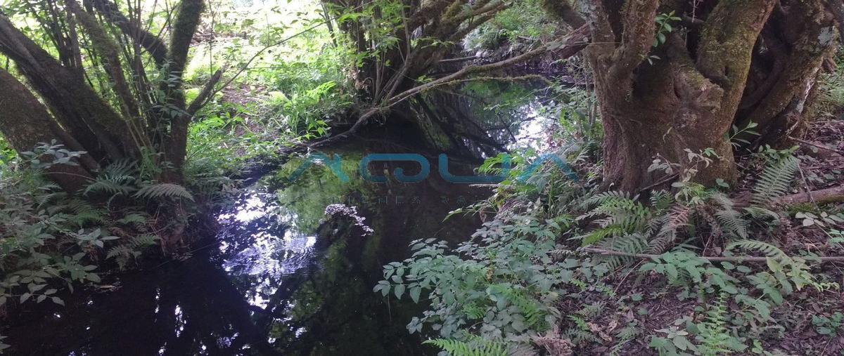 Foto de terreno habitacional en , cerro gordo, valle de bravo, méxico, 26304243 foto 02 Foto de terreno habitacional en venta en , cerro gordo, valle de bravo, méxico, 26304243 No. 02