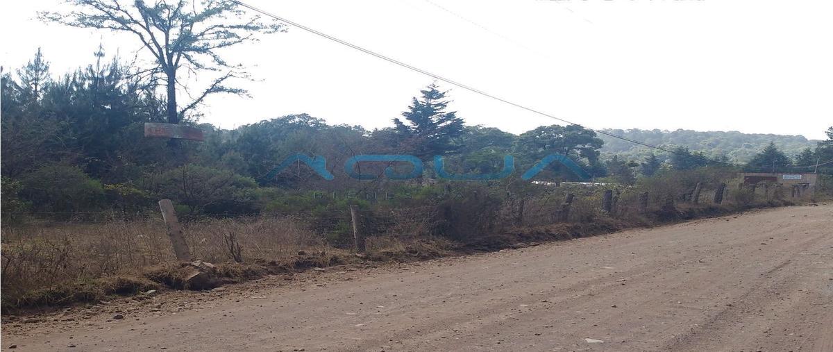 Foto de terreno habitacional en , cerro gordo, valle de bravo, méxico, 26304243 foto 04 Foto de terreno habitacional en venta en , cerro gordo, valle de bravo, méxico, 26304243 No. 04