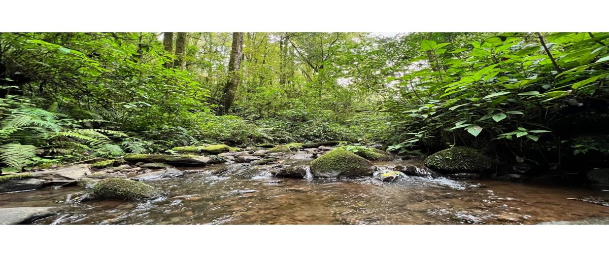 Foto de terreno habitacional en , cerro gordo, valle de bravo, méxico, 27299526 foto 01 Foto de terreno habitacional en venta en , cerro gordo, valle de bravo, méxico, 27299526 No. 01