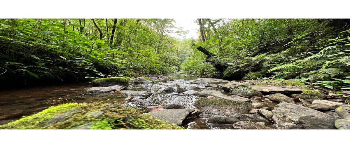 Foto de terreno habitacional en , cerro gordo, valle de bravo, méxico, 27299526 foto 02 Foto de terreno habitacional en venta en , cerro gordo, valle de bravo, méxico, 27299526 No. 02