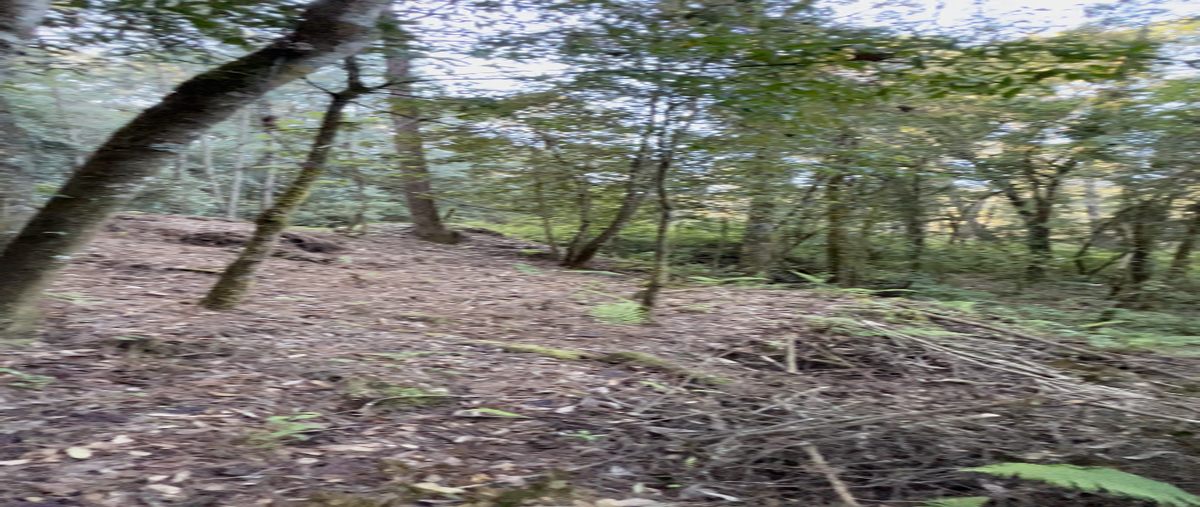 Foto de terreno comercial en venta en  , cerro gordo, valle de bravo, méxico, 27322015 No. 04