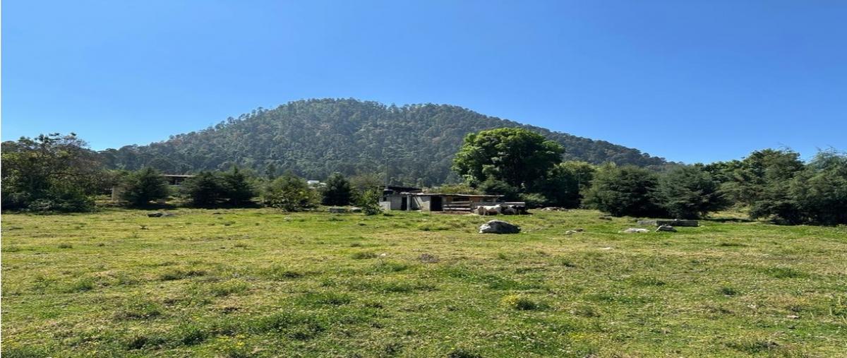 Foto de terreno habitacional en venta en  , cerro gordo, valle de bravo, méxico, 0 No. 04