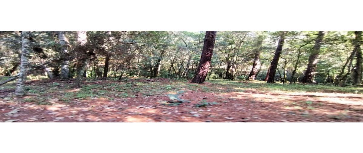 Foto de terreno habitacional en venta en  , cerro gordo, valle de bravo, méxico, 0 No. 05