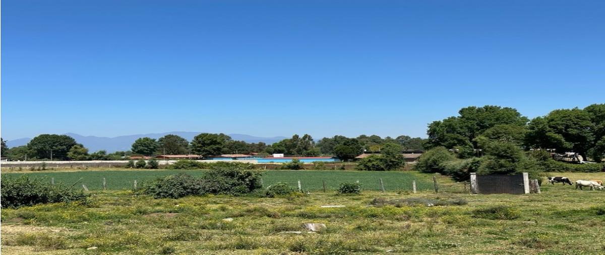 Foto de terreno habitacional en , cerro gordo, valle de bravo, méxico, 0 foto 01 Foto de terreno habitacional en venta en , cerro gordo, valle de bravo, méxico, 0 No. 01
