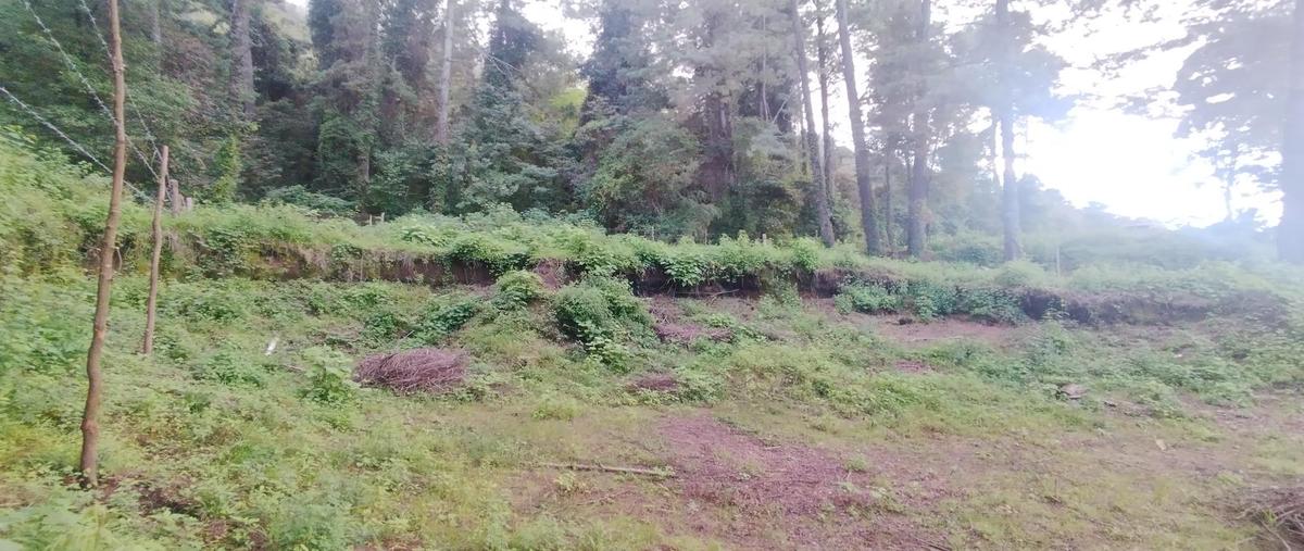 Foto de terreno habitacional en venta en  , cerro gordo, valle de bravo, méxico, 0 No. 03