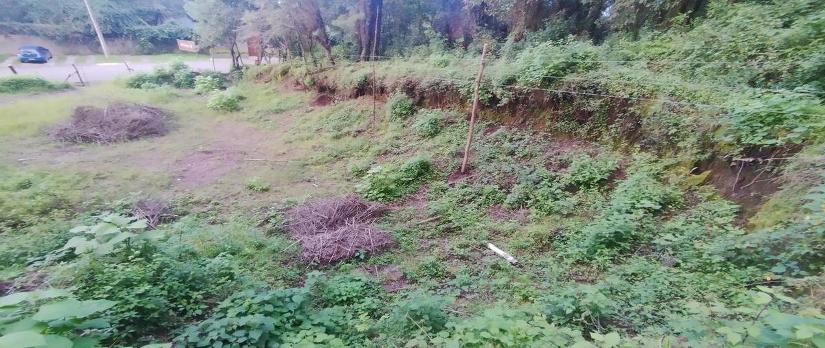 Foto de terreno habitacional en venta en  , cerro gordo, valle de bravo, méxico, 0 No. 04