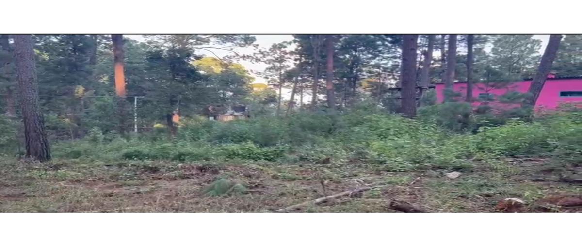 Foto de terreno habitacional en venta en  , cerro gordo, valle de bravo, méxico, 0 No. 03