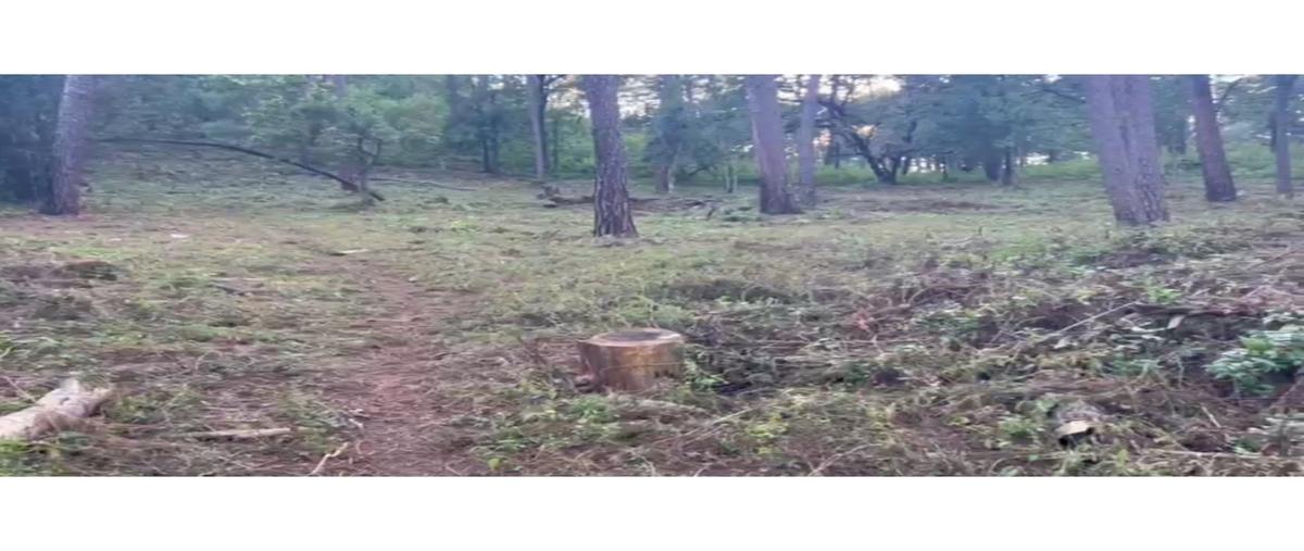 Foto de terreno habitacional en venta en  , cerro gordo, valle de bravo, méxico, 0 No. 04