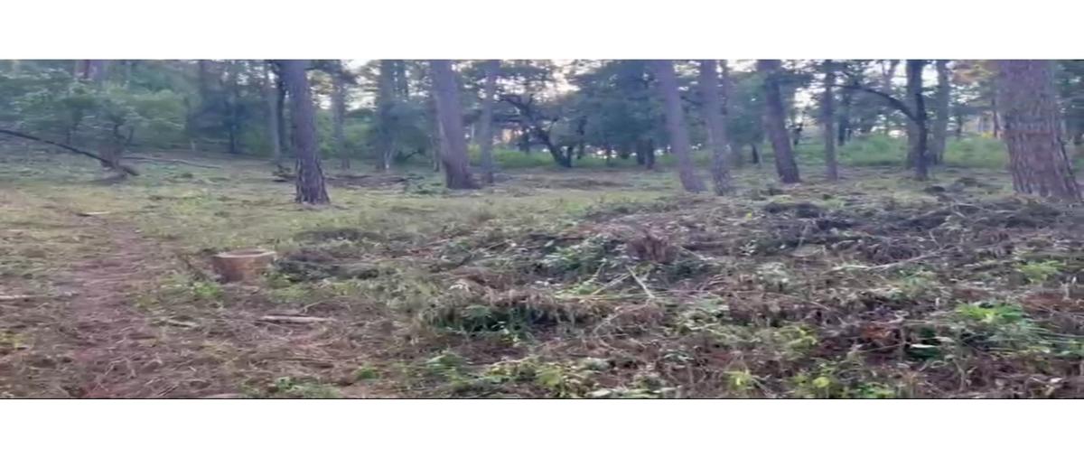 Foto de terreno habitacional en venta en  , cerro gordo, valle de bravo, méxico, 0 No. 05
