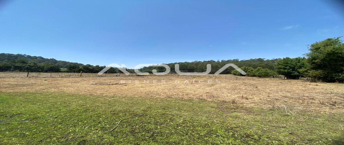 Foto de terreno habitacional en venta en  , cerro gordo, valle de bravo, méxico, 0 No. 05