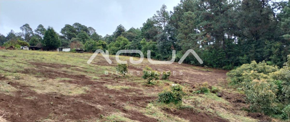Foto de terreno habitacional en venta en  , cerro gordo, valle de bravo, méxico, 0 No. 03