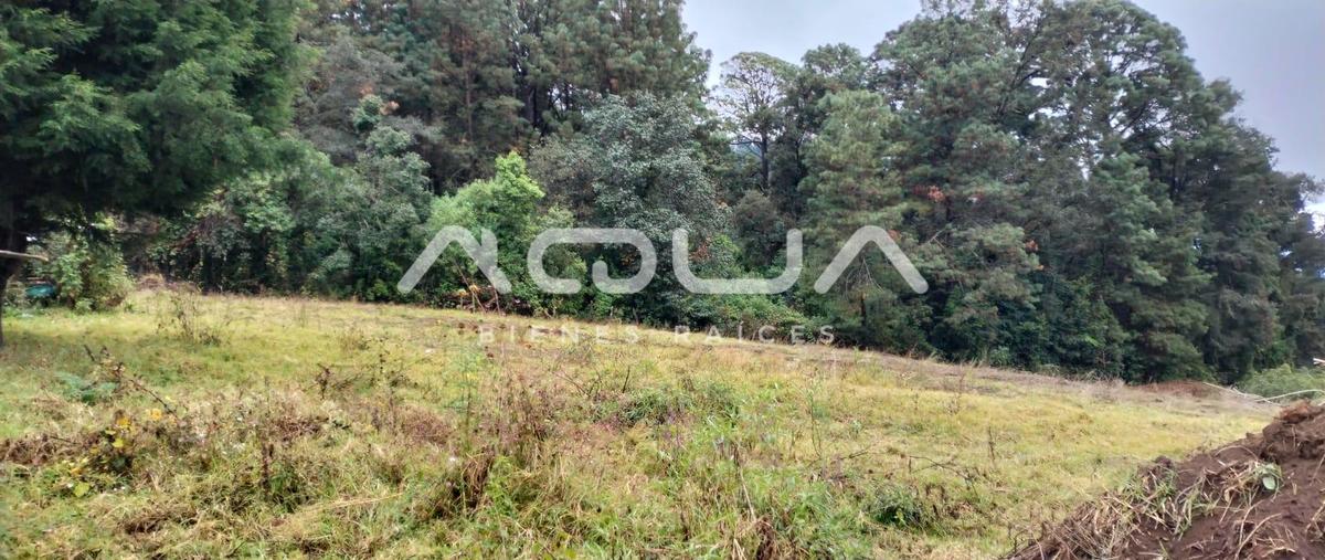 Foto de terreno habitacional en venta en  , cerro gordo, valle de bravo, méxico, 0 No. 04