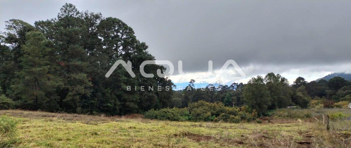Foto de terreno habitacional en venta en  , cerro gordo, valle de bravo, méxico, 0 No. 05