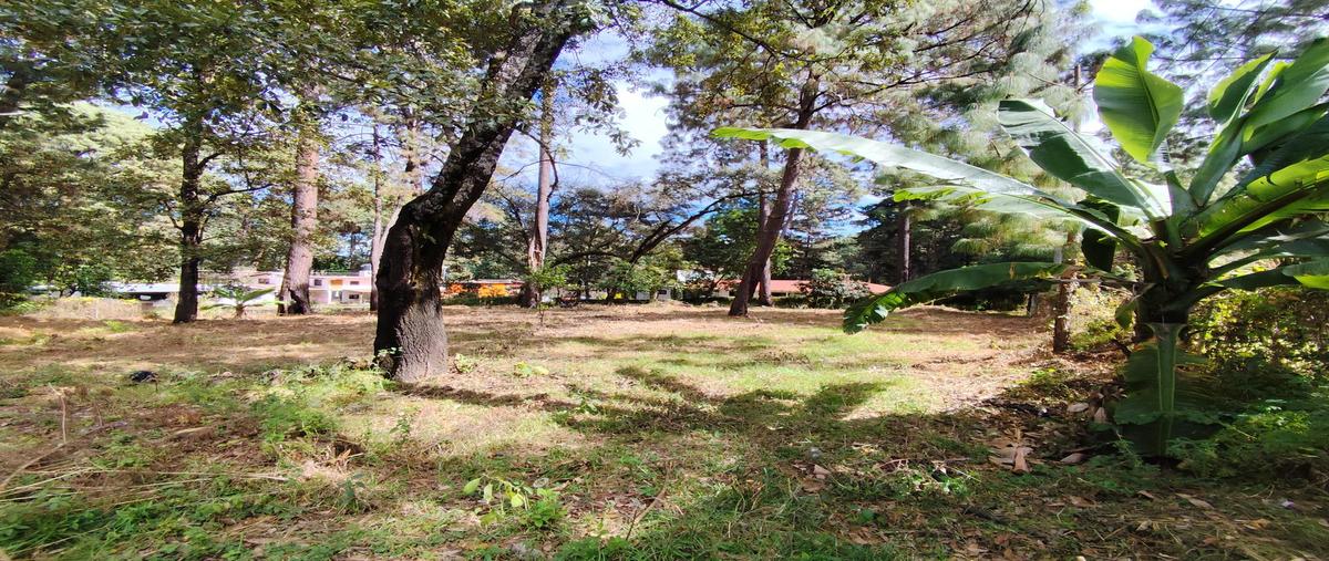 Foto de terreno habitacional en venta en  , cerro gordo, valle de bravo, méxico, 0 No. 03