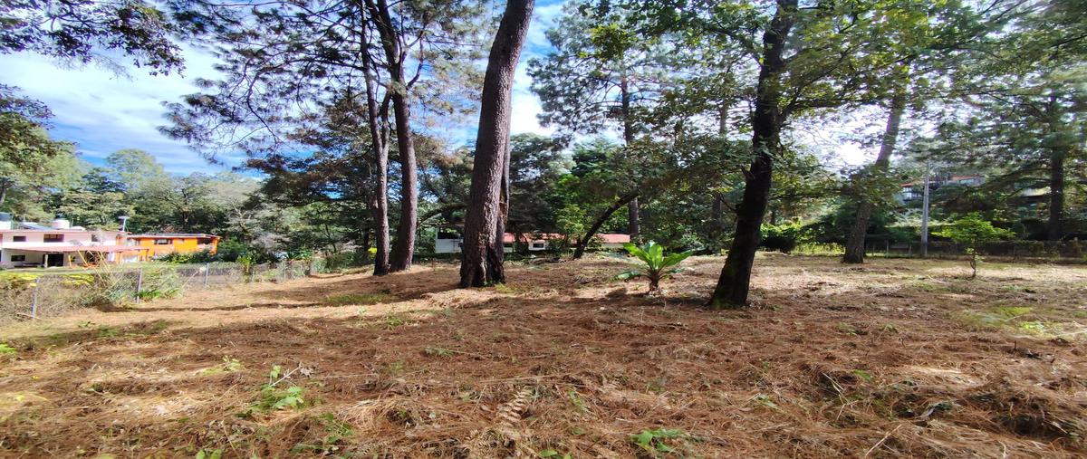Foto de terreno habitacional en venta en  , cerro gordo, valle de bravo, méxico, 0 No. 05