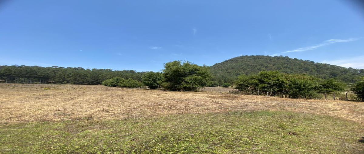 Foto de terreno habitacional en , cerro gordo, valle de bravo, méxico, 0 foto 02 Foto de terreno habitacional en venta en , cerro gordo, valle de bravo, méxico, 0 No. 02