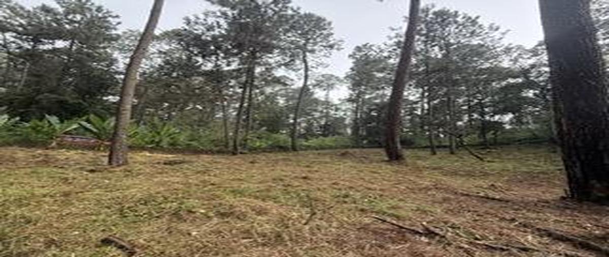 Foto de terreno habitacional en venta en  , cerro gordo, valle de bravo, méxico, 0 No. 03