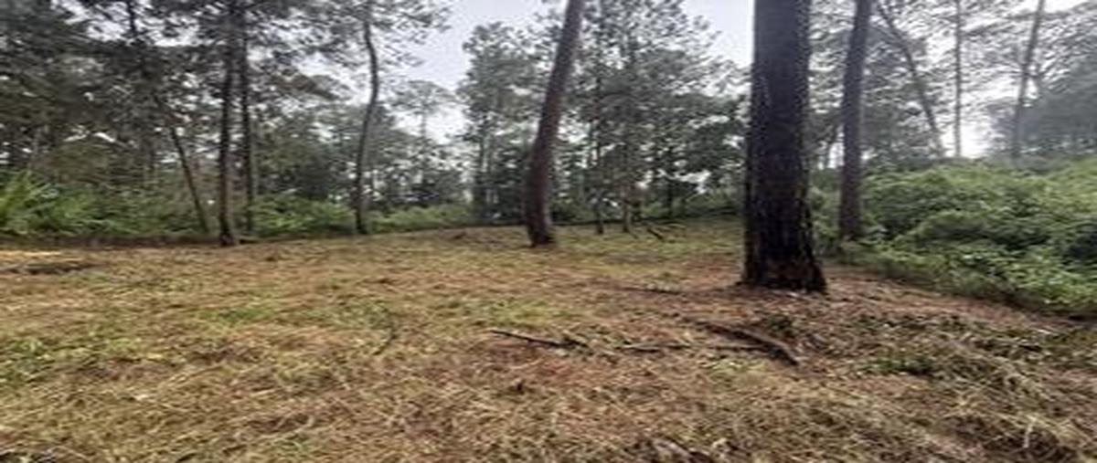 Foto de terreno habitacional en venta en  , cerro gordo, valle de bravo, méxico, 0 No. 04