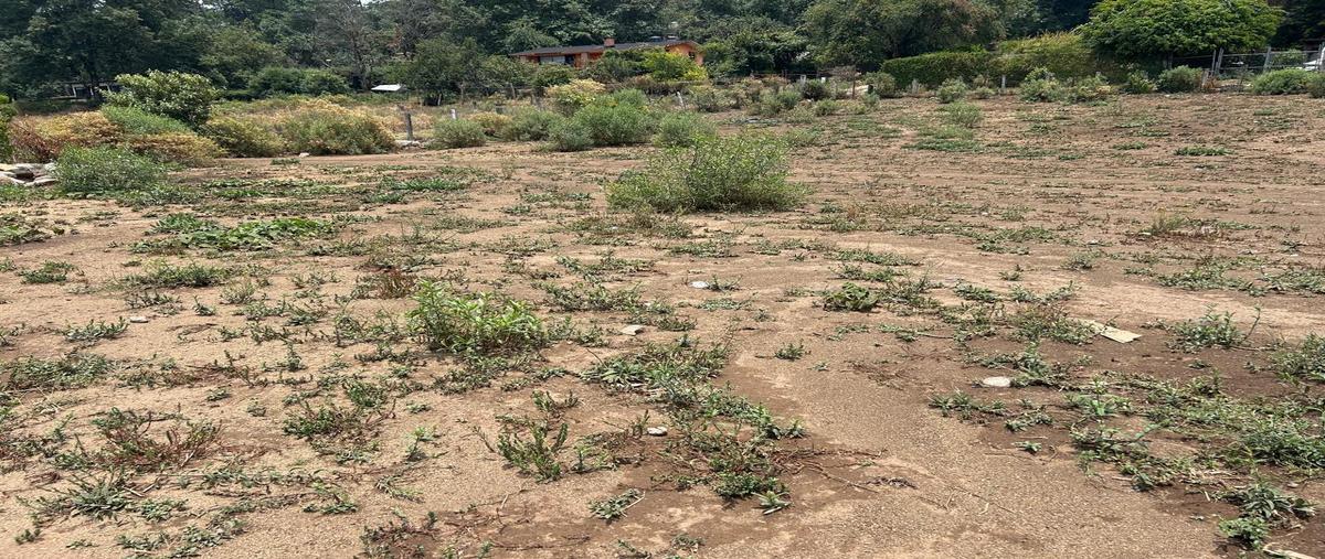 Foto de terreno habitacional en , cerro gordo, valle de bravo, méxico, 0 foto 04 Foto de terreno habitacional en venta en , cerro gordo, valle de bravo, méxico, 0 No. 04