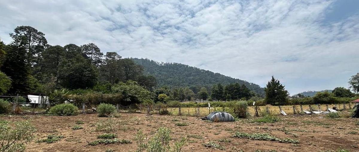 Foto de terreno habitacional en , cerro gordo, valle de bravo, méxico, 0 foto 05 Foto de terreno habitacional en venta en , cerro gordo, valle de bravo, méxico, 0 No. 05