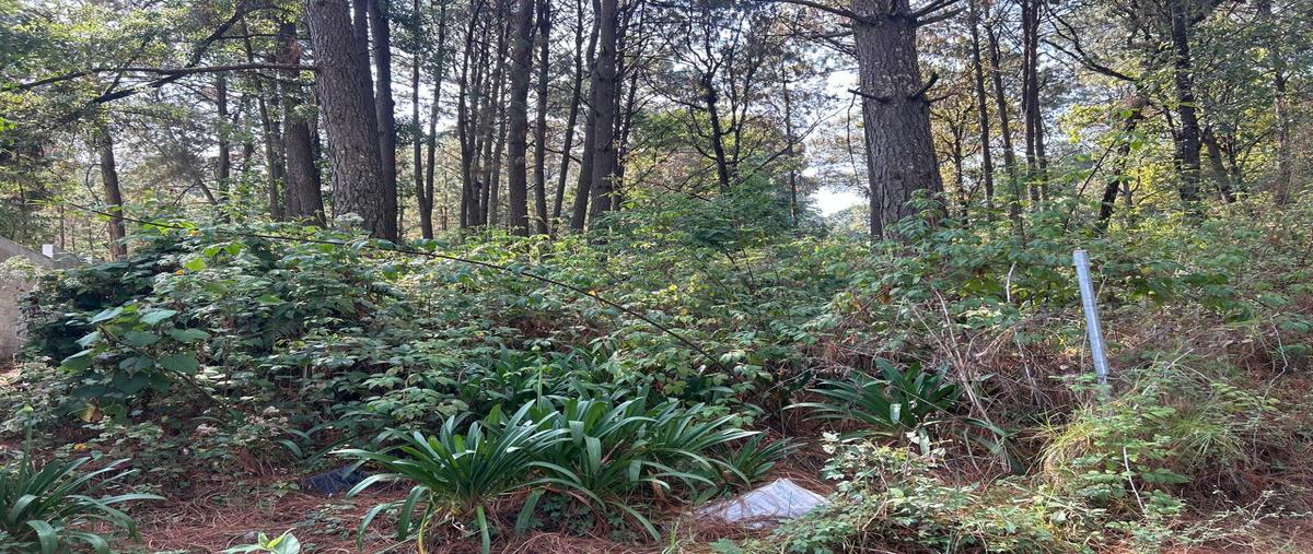 Foto de terreno habitacional en venta en  , cerro gordo, valle de bravo, méxico, 0 No. 03