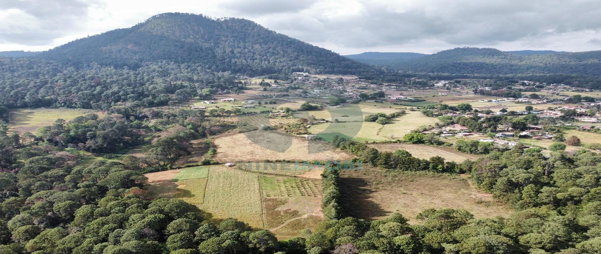 Foto de terreno habitacional en venta en  , cerro gordo, valle de bravo, méxico, 31338936 No. 02