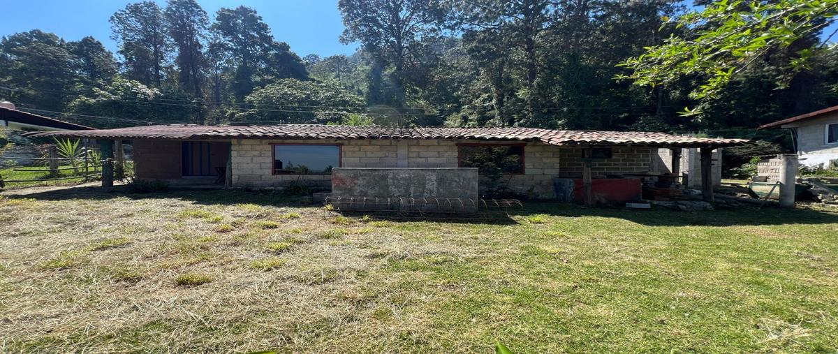 Foto de terreno habitacional en , cerro gordo, valle de bravo, méxico, 0 foto 02 Foto de terreno habitacional en venta en , cerro gordo, valle de bravo, méxico, 0 No. 02