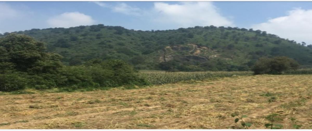 Foto de terreno industrial en venta en cerro joyacan 1, san antonio zoyatzingo, amecameca, méxico, 12299052 No. 05