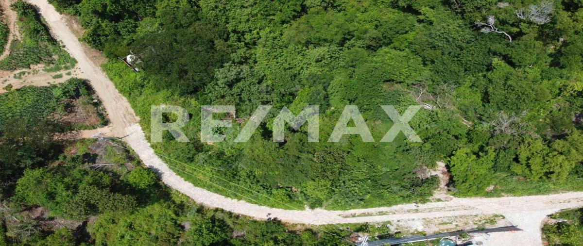 Foto de terreno habitacional en venta en cerro la mermejita , mazunte, santa maría tonameca, oaxaca, 30324253 No. 03