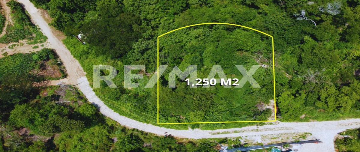 Foto de terreno habitacional en venta en cerro la mermejita , mazunte, santa maría tonameca, oaxaca, 30324253 No. 05