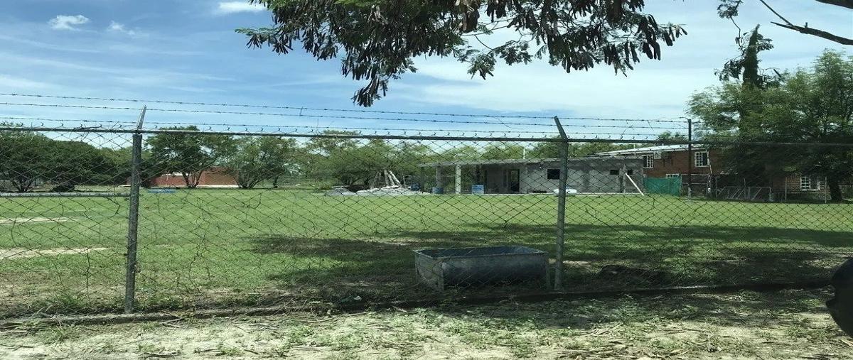 Foto de terreno habitacional en venta en  , cerro prieto, linares, nuevo león, 0 No. 05